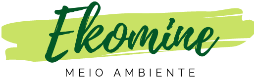 Ekomine – Meio Ambiente e Mineração